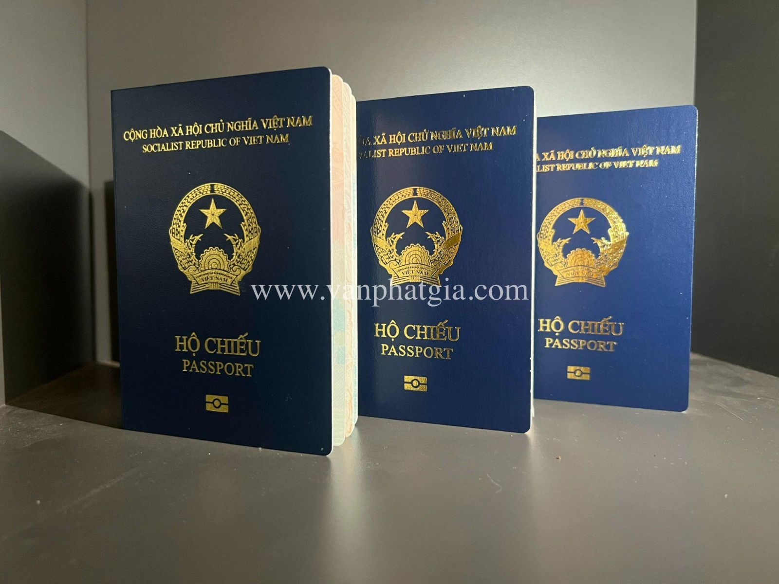 Cách chọn dịch vụ làm hộ chiếu online uy tín